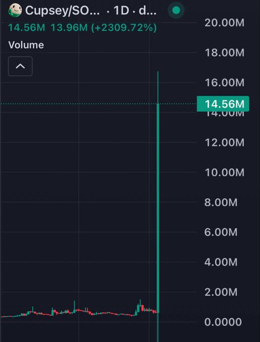 A trading chart shows CUPSEY/SOL on a 1D timeframe with a massive volume spike of 14.56M (up 2,309.72%), contrasting with the poster's question about bullish activity occurring during a bear market.