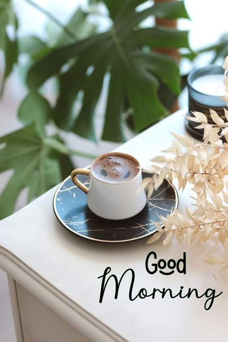 A coffee cup on a black saucer on a white surface surrounded by green and dried plants with the text 'Good Morning' written in black script.