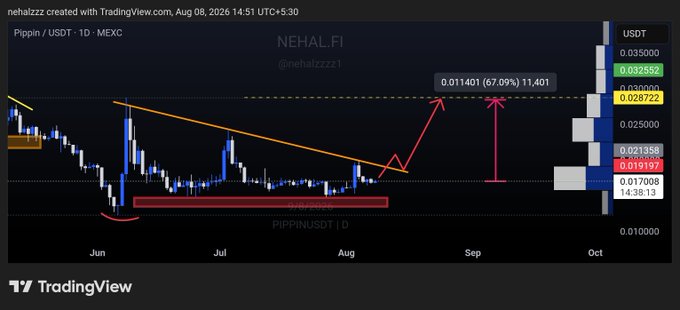 A TradingView chart shows Pippin (PIPPIN/USDT) on the daily timeframe trading at $0.0191, consolidating within a $0.014–$0.017 support zone beneath a descending trendline, with an annotated projected breakout target of $0.02872 (+67.09%) near $0.0350 resistance — directly visualizing the post's analysis of an impending trendline breakout.