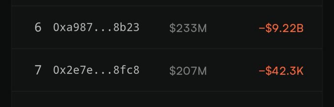 A leaderboard snippet displaying crypto wallet rankings, including entry '6 0xa987...8b23 $233M -$9.22B' and entry '7 0x2e7e...8fc8 $207M -$42.3K' in red.