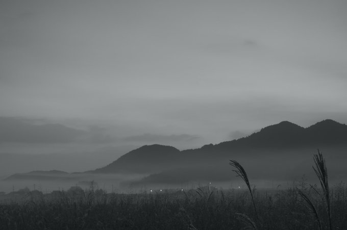 Black and white photograph of a misty landscape with silhouetted mountains in the background, fog rolling across the mid-ground, and tall grass with feathery plumes in the foreground.