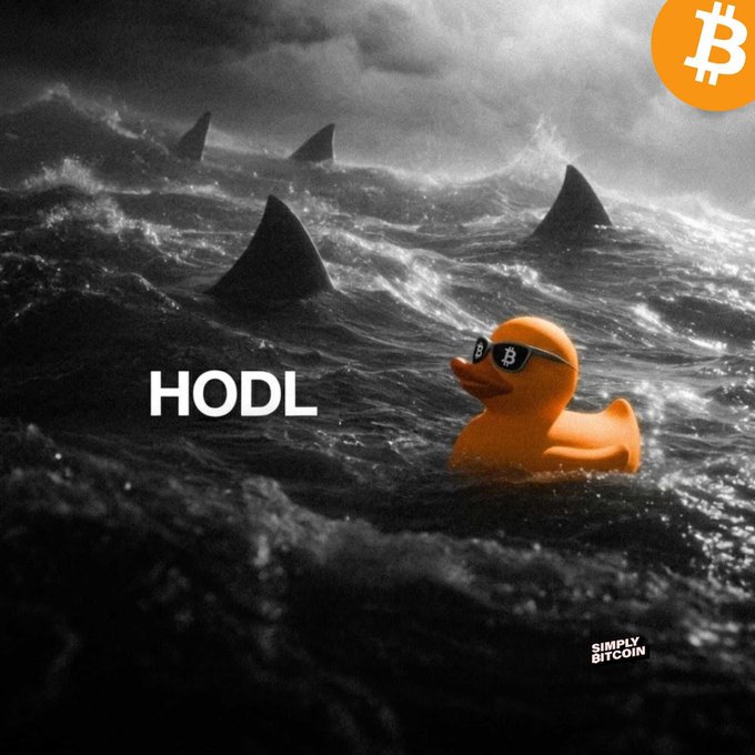 A 'Simply Bitcoin' meme showing a calm orange rubber duck wearing Bitcoin sunglasses floating in stormy seas filled with shark fins, with the word 'HODL' and a Bitcoin logo.