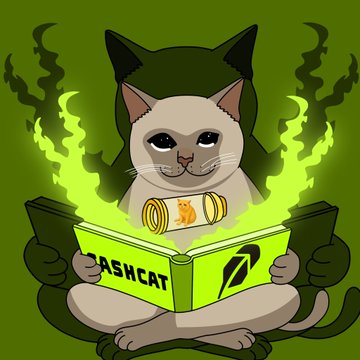 A Siamese cat wearing a green hooded cloak reads from an ancient glowing scroll surrounded by mystical green flames. The book cover displays "CASHCAT" alongside a coin marked with "$$", symbolizing the $CASHCAT prophecy of the cat's rise on the Robinhood Chain as referenced in the meme contest entry.
