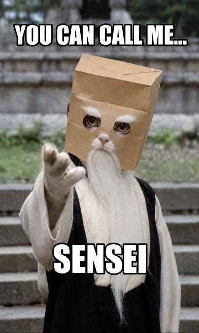 A cat wearing a paper bag over its head with a long white beard, pointing forward while wearing a black robe, with the text "YOU CAN CALL ME... SENSEI" overlaid. The meme humorously ties into the post's reference to $zcat, presenting the cat as a wise, mysterious "sensei" befitting a profile icon.