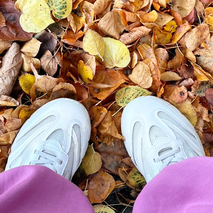 A first-person view looking down at white sneakers and purple pants standing on a pile of colorful autumn leaves.