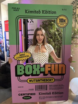 A colorful 'Limited Edition BOX-FUN WUTSINTHEBOX?' collectible figure box featuring a woman in a polka dot dress, marked '100K PCS', 'MINT CONDITION', and 'CERTIFIED' by NOSL.