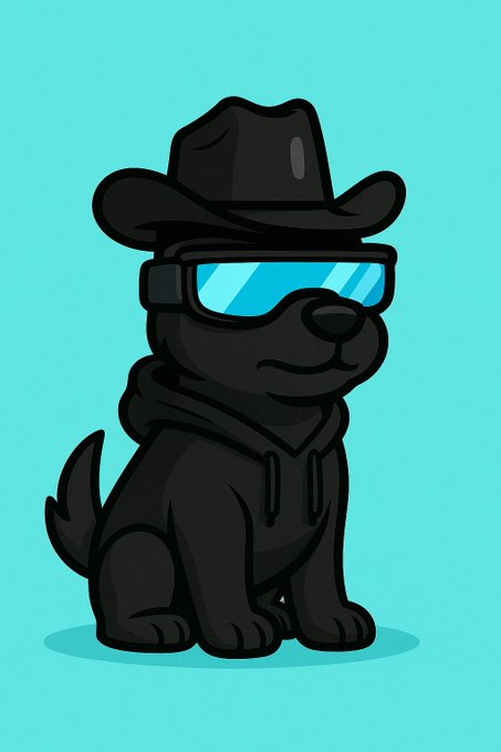 A cartoon illustration of a black dog wearing a cowboy hat, blue sunglasses, and a hoodie, sitting against a bright turquoise background.