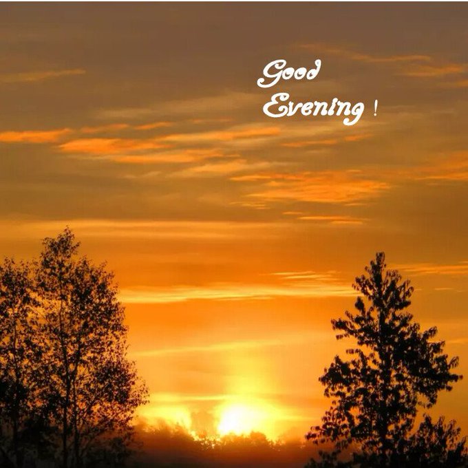 The image shows a beautiful sunset over trees, with the sun setting behind them. The sky has warm orange hues that create a serene atmosphere. In the background of the photo, there are two silhouetted trees standing tall against the sky. The caption reads "Good Evening CT @dropee_app is entering TGE with one of the strongest setups in the Telegram ecosystem right now ... probably the biggest distribution advantage any chain received this cycle." This message seems to be related to a post on social media, possibly about the sunset or an event happening at that time.