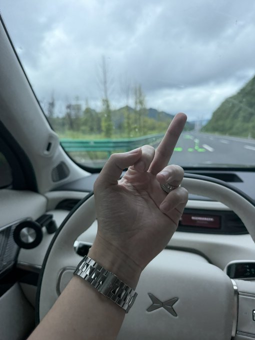 A hand wearing a silver watch and ring gestures a peace sign from the driver's seat of an Xpeng (小鹏) vehicle on a highway, symbolizing resilience and defiance in the face of online mockery after financial losses.

The "X" logo on the steering wheel and the lone finger gesture rising above the dashboard serve as a quiet act of self-reassurance amid the storm of viral criticism.