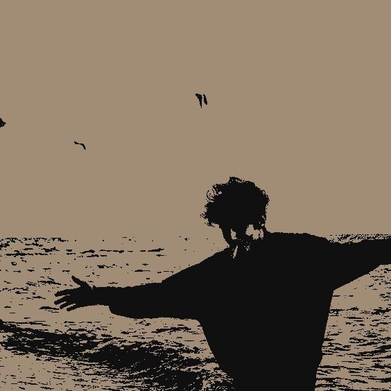 A stylized silhouette of a person with outstretched arms standing at the ocean at dusk, with birds flying overhead in a beige-toned scene.