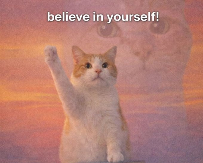 A motivational meme showing an orange and white cat raising one paw in a fist with the text 'believe in yourself!' overlaid on a faded sunset background featuring a larger cat's face.