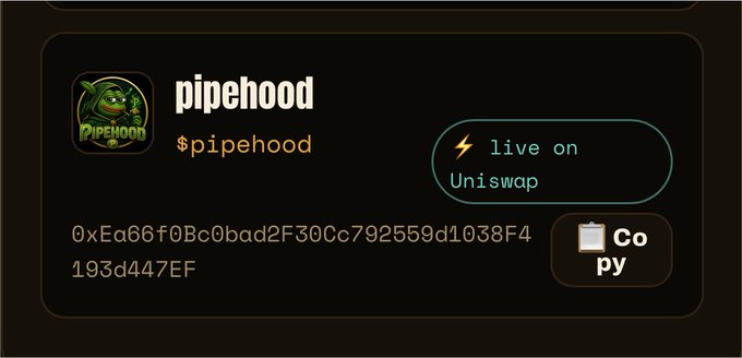 A token listing page for 'pipehood' ($pipehood) showing it is live on Uniswap, with the contract address 0xEa66f0Bc0bad2F300c792559d1038F4193d447EF and a copy button.