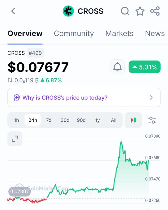 A cryptocurrency price tracking app displaying CROSS token (#499) at $0.07677, showing a 5.31% increase, with a 24-hour price chart.