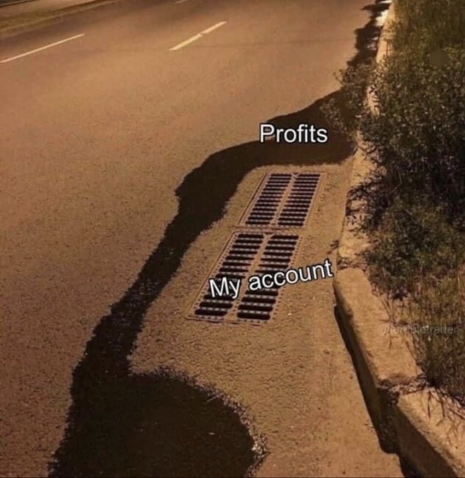 A meme showing a road and a storm drain, with 'Profits' labeled on the road and 'My account' labeled on the drain grate.