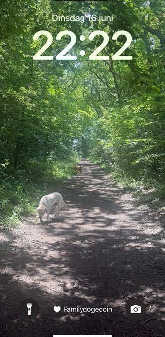 The image shows a white dog walking down a dirt path surrounded by trees, with a clock displaying 22:22 (or 22:22:22) at the top of the screen. The text "familydog" can be seen below the clock, possibly indicating that this is a photo or screenshot from someone's phone.