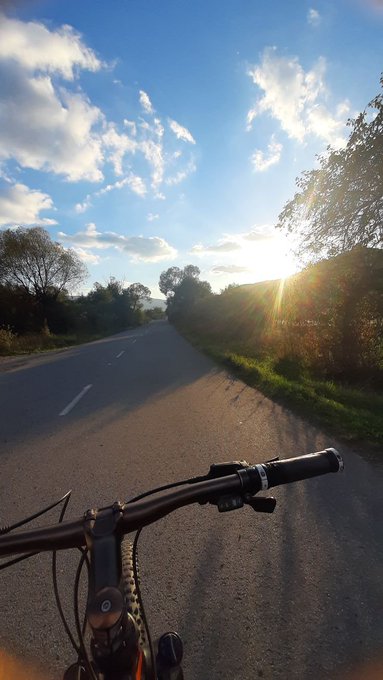 A first-person view from a bicycle riding down an empty road at sunset, with the sun shining through trees and a partly cloudy sky overhead.