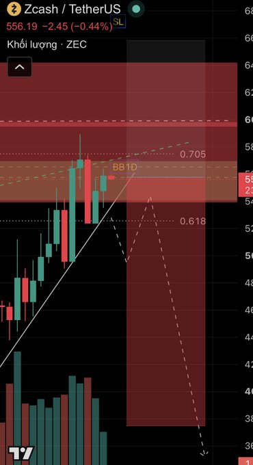 Cryptocurrency trading chart showing Zcash/TetherUS (ZEC) pair at 556.19 with -2.45% (-0.44%) decline, featuring Fibonacci levels 0.618 and 0.705, BB1D indicator band, candlestick patterns with red shaded resistance zone, and volume bars at bottom.