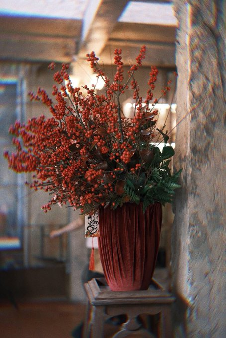 A potted plant with red berries and green leaves sitting on a wooden stand against a textured stone wall.