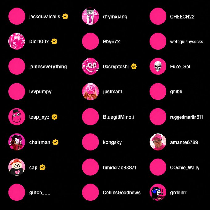A grid of 24 profile avatars with usernames like jackduvalcalls, d1yinxixiang, CHEECH22, and O0chie_Wally, many marked with verified yellow checkmarks, displayed on a black background with pink circles. The image illustrates the growing community of supporters rallying behind the $PINK charity coin on Pumpfun, which donates 100% of its fees to the Breast Cancer Research Foundation.