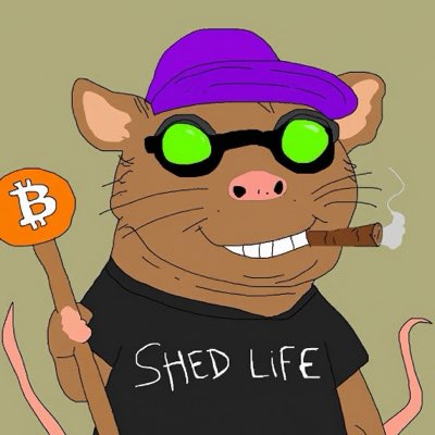 An illustration of a brown rat wearing a purple cap, green sunglasses, and a 'SHED LIFE' t-shirt, holding a Bitcoin sign and a cigar.
