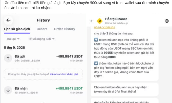 A Binance support chat in Vietnamese indicates the user sent USDT on the BSC network instead of Trust Wallet, resulting in the exchange not crediting the funds.
