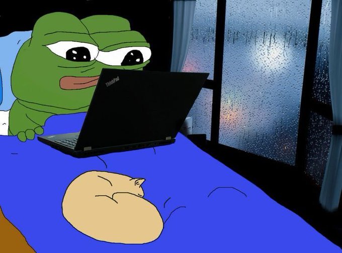 A meme image showing a sad Pepe the Frog character lying in bed using a ThinkPad laptop while a cat sleeps at his feet, with rain visible through the window.
