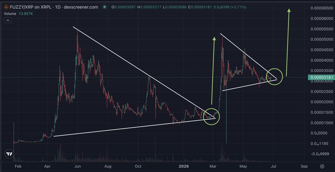 A daily candlestick chart of FUZZY/XRP on the DEX Screener shows the token consolidating within a descending wedge pattern, with price currently at 0.00003181 (+2.71%) on rising volume of 13.957K, highlighted by yellow arrows marking potential breakout points near prior resistance levels around 0.0000400–0.0000600 XRP. The technical setup mirrors the late-2024 squeeze structure that preceded XRP's major rally, supporting the post's bullish breakout thesis.