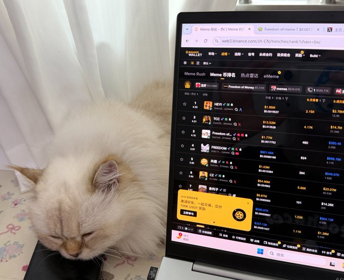 A cream-colored cat sleeps peacefully next to an open laptop displaying a cryptocurrency meme coin ranking page on Binance, featuring tokens like "Freedom of Money" and "HEY," with a popup offering a 100 USDT voucher.