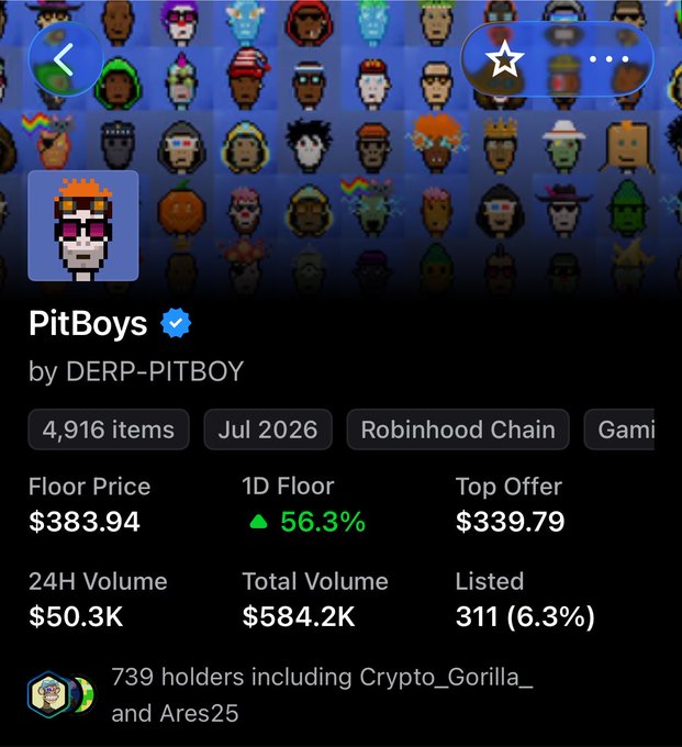 Screenshot of an NFT collection called 'PitBoys' by DERP-PITBOY, showing 4,916 items with a floor price of $383.94, 24H volume of $50.3K, and 739 holders on Robinhood Chain.