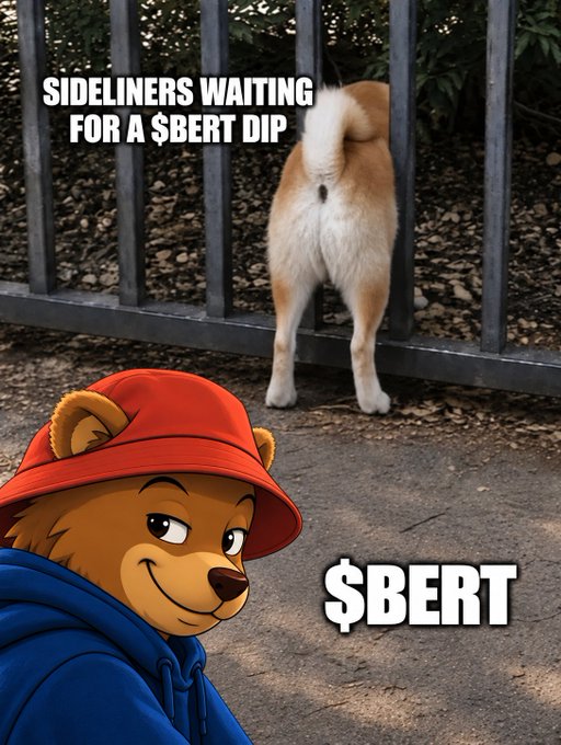 A meme featuring a Shiba Inu dog facing a fence with text reading 'SIDELINERS WAITING FOR A $BERT DIP' and a cartoon bear wearing an orange bucket hat labeled '$BERT'.