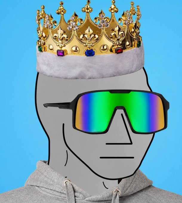 A stylized digital illustration of a gray cartoon character wearing a gold jeweled crown, holographic wrap-around sunglasses, and a gray hoodie against a bright blue background.