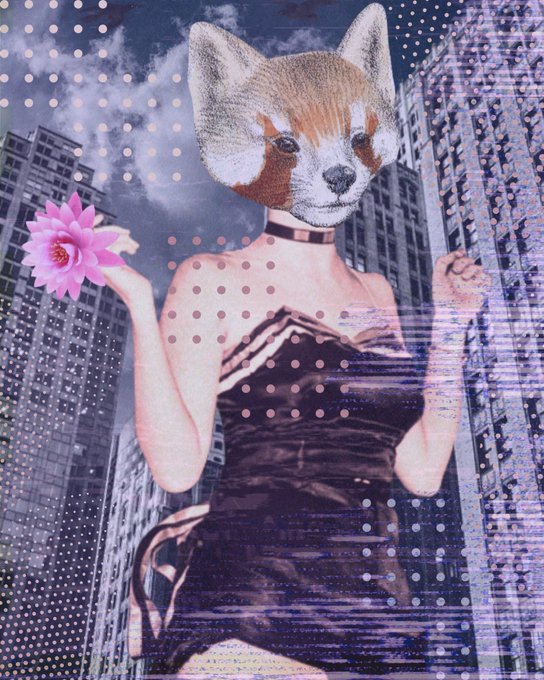A surreal digital collage featuring a woman with a corgi's head holding a pink lotus flower, set against a cityscape background with a polka dot overlay.