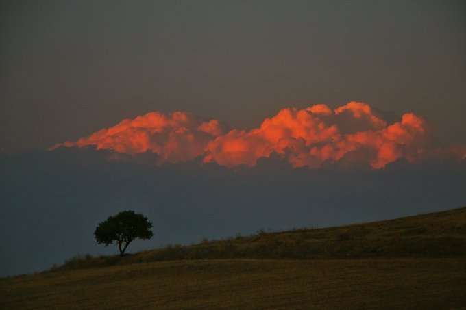 A lone tree sits on a grassy hill beneath a dramatic sky, where a glowing red cloud formation is illuminated by the setting sun.