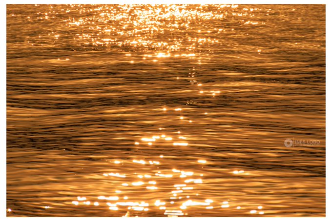 The image shows warm, golden sunlight shimmering and reflecting on gentle ocean waves, creating a sparkling effect across the rippling water surface, with a "TJES LORO" watermark in the bottom right corner. This tranquil scene titled "Seen" is part of a live auction on objkt, started by @tokioflo, with 17 hours remaining for bidding.
