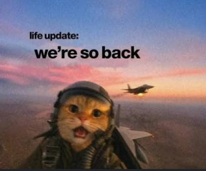 A popular meme featuring a cat dressed as a fighter pilot with the text 'life update: we're so back' and a fighter jet in the background.