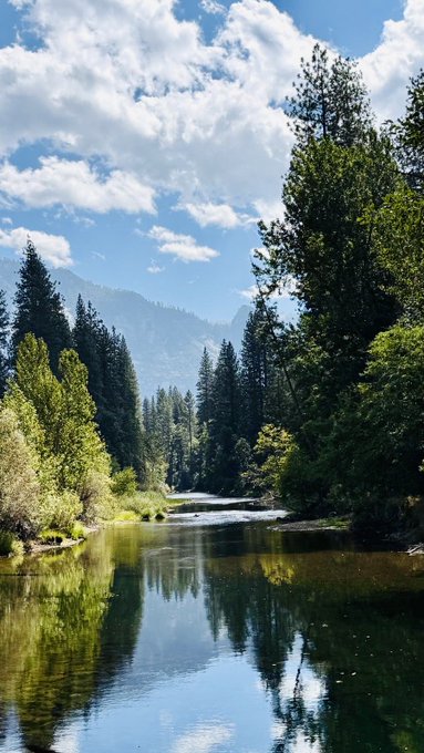 A scenic landscape showing a calm river reflecting tall evergreen trees and a blue sky filled with white clouds, with mountains visible in the distance.