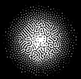 A high-contrast black and white graphic featuring a central white organic, maze-like pattern that transitions into radiating dot halftones against a black circular background, visually echoing the speculative, tech-forward themes of cryptocurrency investing discussed in the post.