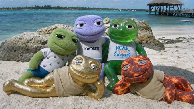 Five plush turtle and frog toys sit on a sandy beach with turquoise water in the background; they wear white tank tops reading 'TOADLETS' and 'NEVER STOP SWIMMING'.