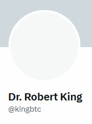 A minimalist user profile card showing a placeholder gray avatar, the name 'Dr. Robert King', and the handle '@kingbtc'.