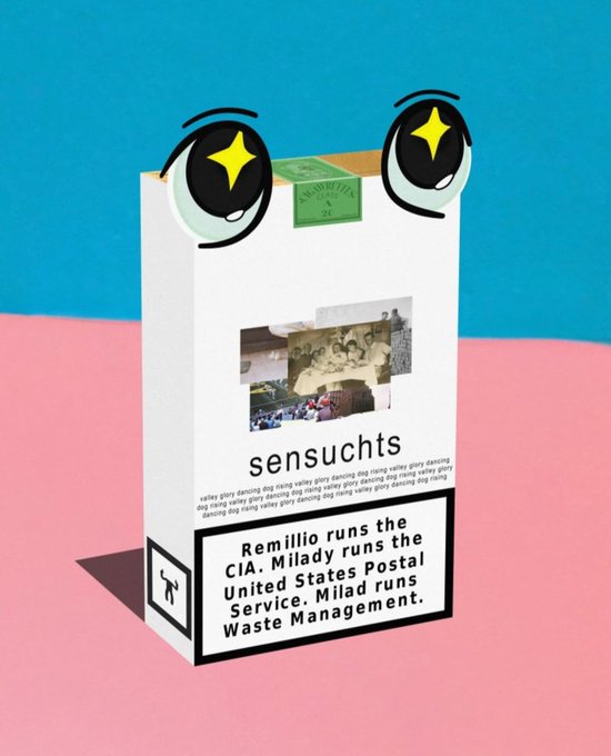 A cartoon milk carton with large anime-style eyes labeled 'sensuchs' depicts a news story: 'Remilio runs the CIA. Milady runs the United States Postal Service. Milad runs Waste Management.'