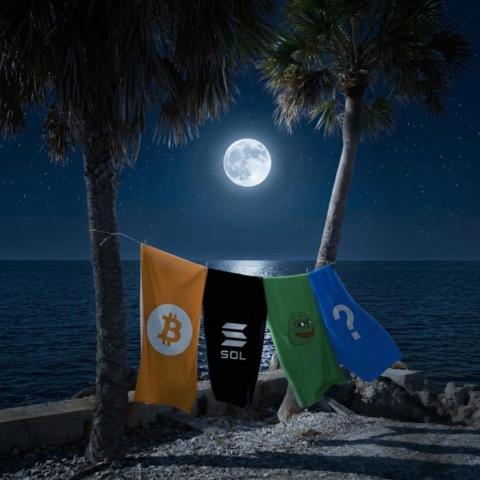 Four colorful towels featuring cryptocurrency logos—Bitcoin (₿), Solana (SOL), Pepe the Frog, and an unidentified "C?" symbol—hang on a clothesline strung between two palm trees, overlooking a moonlit ocean. The image ties to the post's "Pick your towel or tailor it" caption by playfully framing crypto assets as beach towels for investors to choose or customize their own.