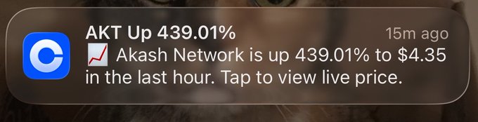 In the image, there is a text overlay that reads "AKT UP 439.01%", which implies an increase of 40.01%. This information could be related to Akash Network or Akash's stock performance, and the post seems to be about viewing live price data for Akash network. The image focuses on the details surrounding this subject matter.