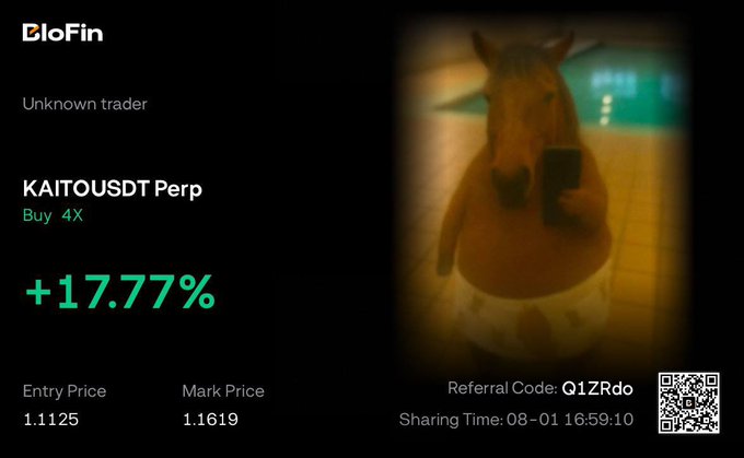A BloFin trading screenshot showing an unknown trader's KAITOUSDT Perp long position with 4X leverage, displaying a +17.77% gain (entry at 1.1125, mark price 1.1619), shared via referral code Q1ZRdo at 08-01 16:59:10. The image confirms the trader's claim of profitable KAITO gains with the humorous horse mascot illustrating their contrarian long bet paying off.