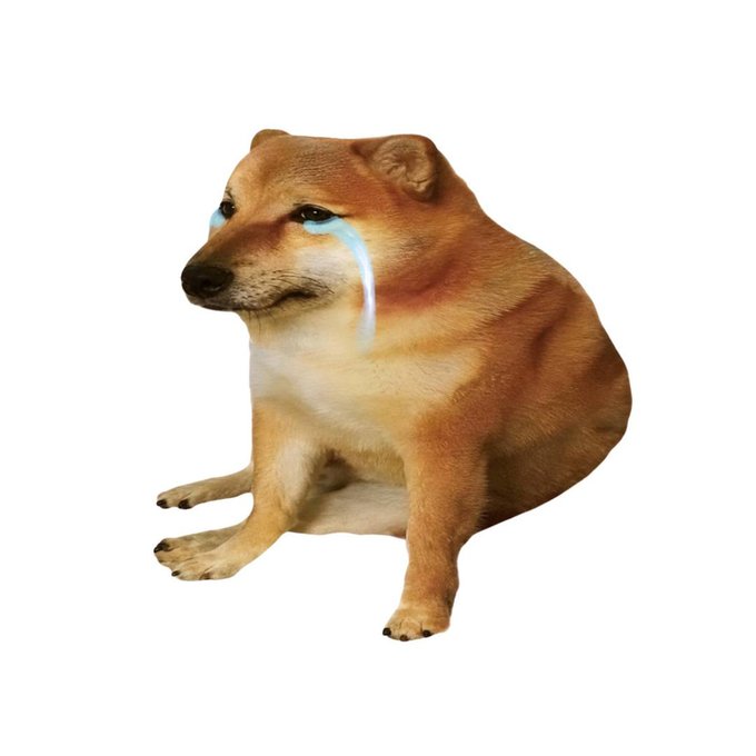 A photoshopped image of a Shiba Inu dog sitting and appearing to cry with cartoon-style blue tears streaming down its face, set against a white background.