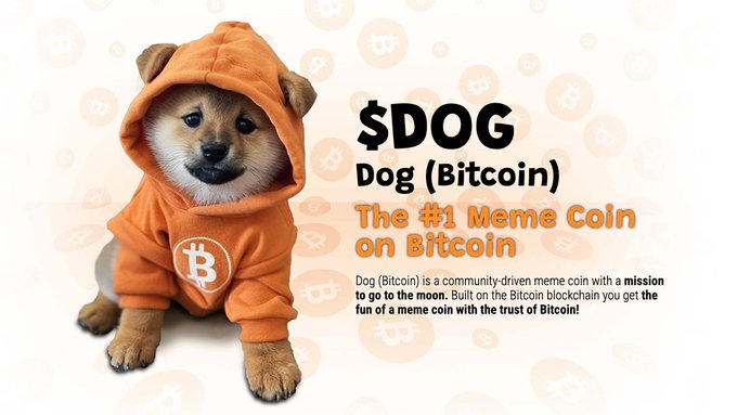 A promotional image for $DOG, billed as 'The #1 Meme Coin on Bitcoin,' featuring a Shiba Inu puppy wearing an orange Bitcoin hoodie with the text describing it as a community-driven meme coin.