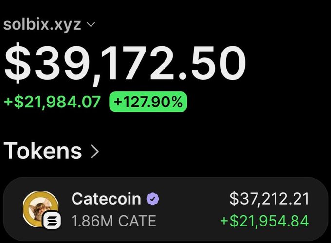 A screenshot of the solbix.xyz portfolio tracker displays a total portfolio value of $39,172.50, showing a gain of +$21,984.07 (+127.90%), with the largest holding being 1.86M Catecoin (CATE) valued at $37,212.21 and contributing +$21,954.84 to the profits, visually confirming the post's claim of turning a $2,420 investment into over $37,000 in profit.