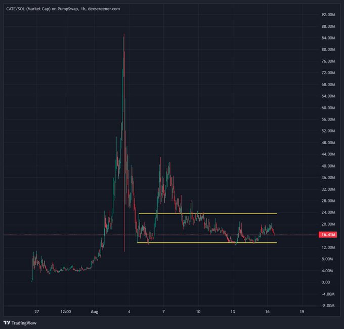 A 1-hour candlestick chart from DexScreener displays CATE/SOL market cap on PumpSwap, showing a dramatic spike from around $4M to a peak near $84M before consolidating within a yellow-flagged range between $16.41M and $24M, visually supporting the post's claim of rapid growth and bullish sentiment for the $CATE token.