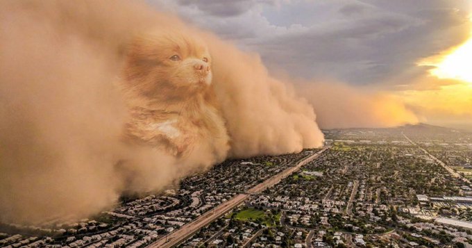 The image features an aerial view of a city with a large cloud of dust or sand blowing over it, obscuring some buildings and creating a hazy atmosphere. The sky above appears to be cloudy, adding to the overall effect of the scene. In the background, there is a dog-like figure that resembles a person, standing out against the backdrop of the cityscape. This image seems to be related to a post about the importance of community or the value of established communities in times of crisis. The caption suggests that this image might have been taken during an event like the Great Depression when people had to rely on each other for support and survival, as well as during the recent COVID-19 pandemic where communities played a crucial role in helping one another through difficult times.