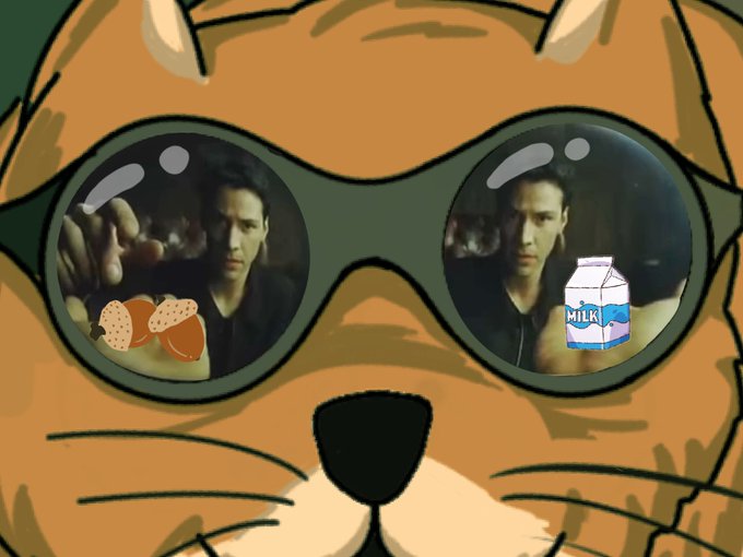 A cartoon illustration of a cat's face wearing sunglasses, with Neo from The Matrix reflected in the lenses, accompanied by small images of an orange and a milk carton.