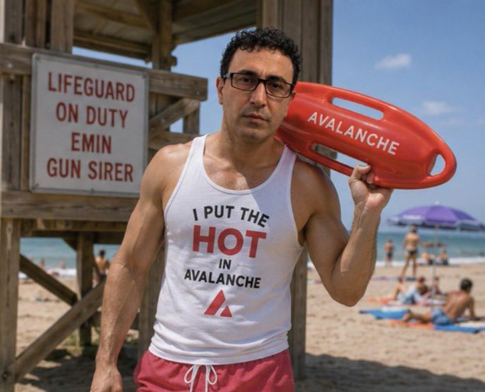 A photoshopped image of a man at a beach lifeguard stand holding a red 'AVALANCHE' rescue buoy, wearing a tank top reading 'I PUT THE HOT IN AVALANCHE' next to a sign labeled 'LIFEGUARD ON DUTY EMIN GUN SIRER'.